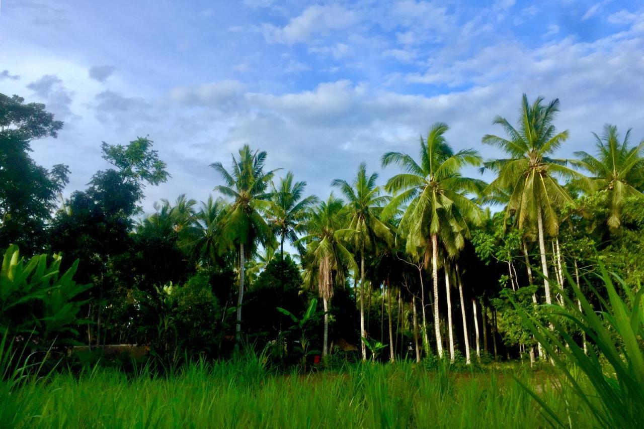 Chemel Homestay Kuta  Exteriör bild