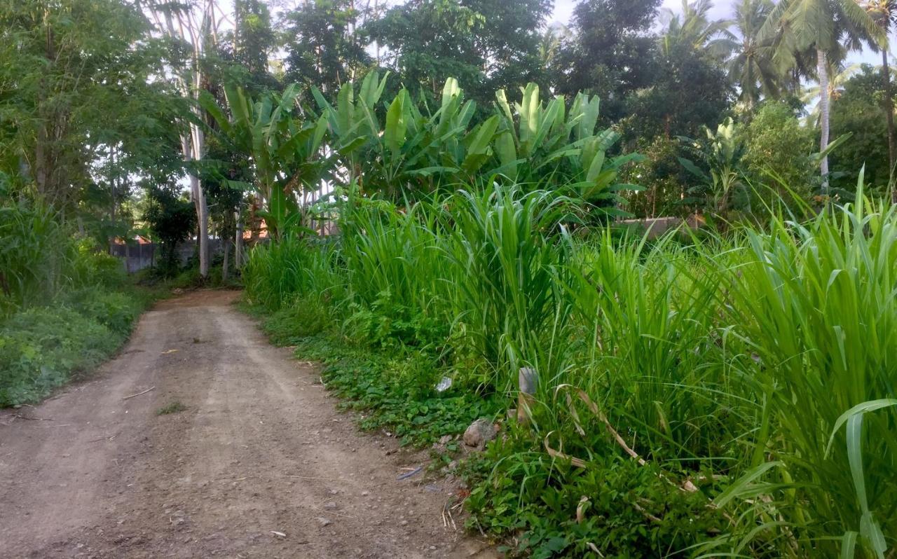 Chemel Homestay Kuta  Exteriör bild